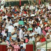 Búscate en los tendidos de la Plaza de Toros de Valladolid (2 de 2)