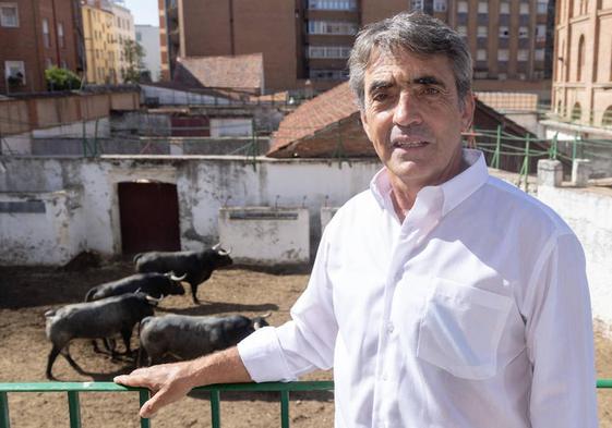 Víctorino Martín, en los corrales de la plaza de Valladolid con sus toros de fondo.