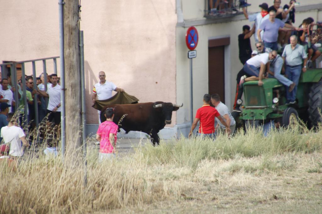 Encierro mixto durante la mañana del sábado en las fiestas de Portillo