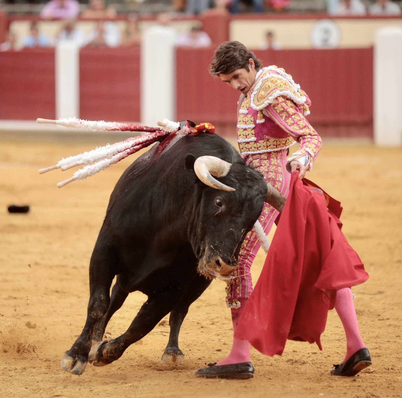 Los toros de la ganadería de Victoriano del Río ofrecieron un gran espectáculo