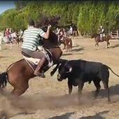 Herido un caballo al recibir una cornada en el encierro de Tordesillas