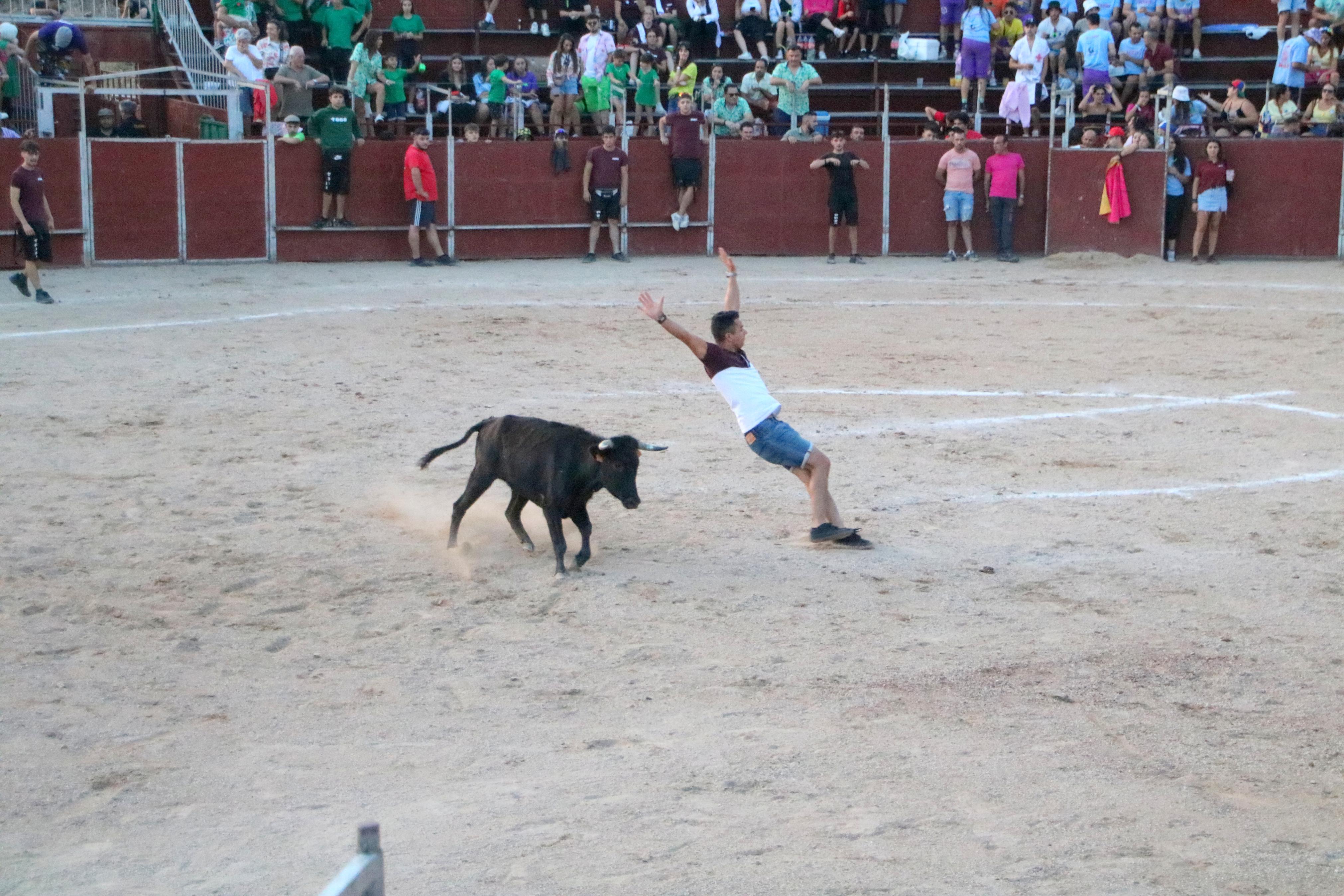 III Certamen Taurino &#039;Bodegas de Baltanás&#039;