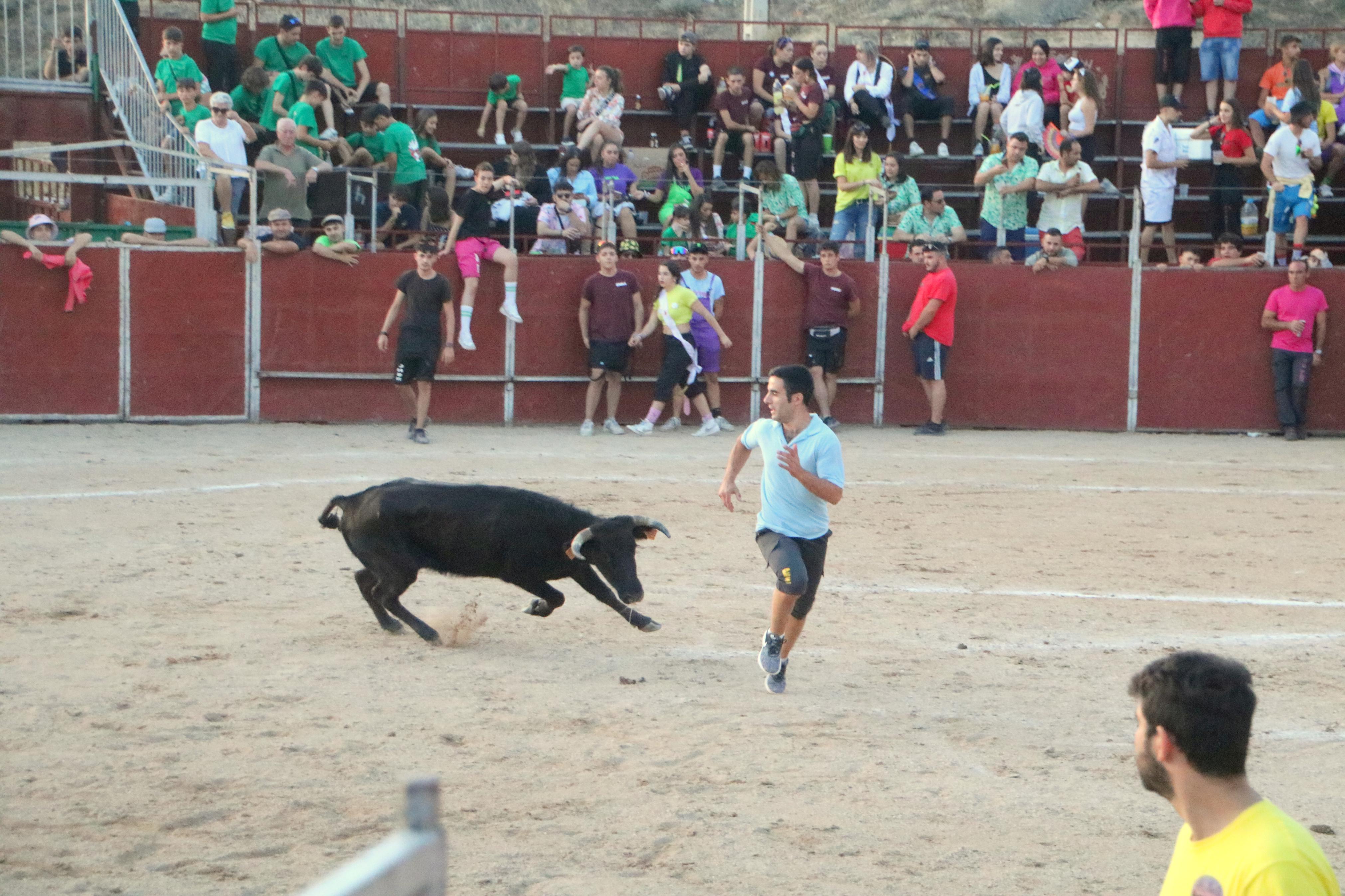 III Certamen Taurino &#039;Bodegas de Baltanás&#039;