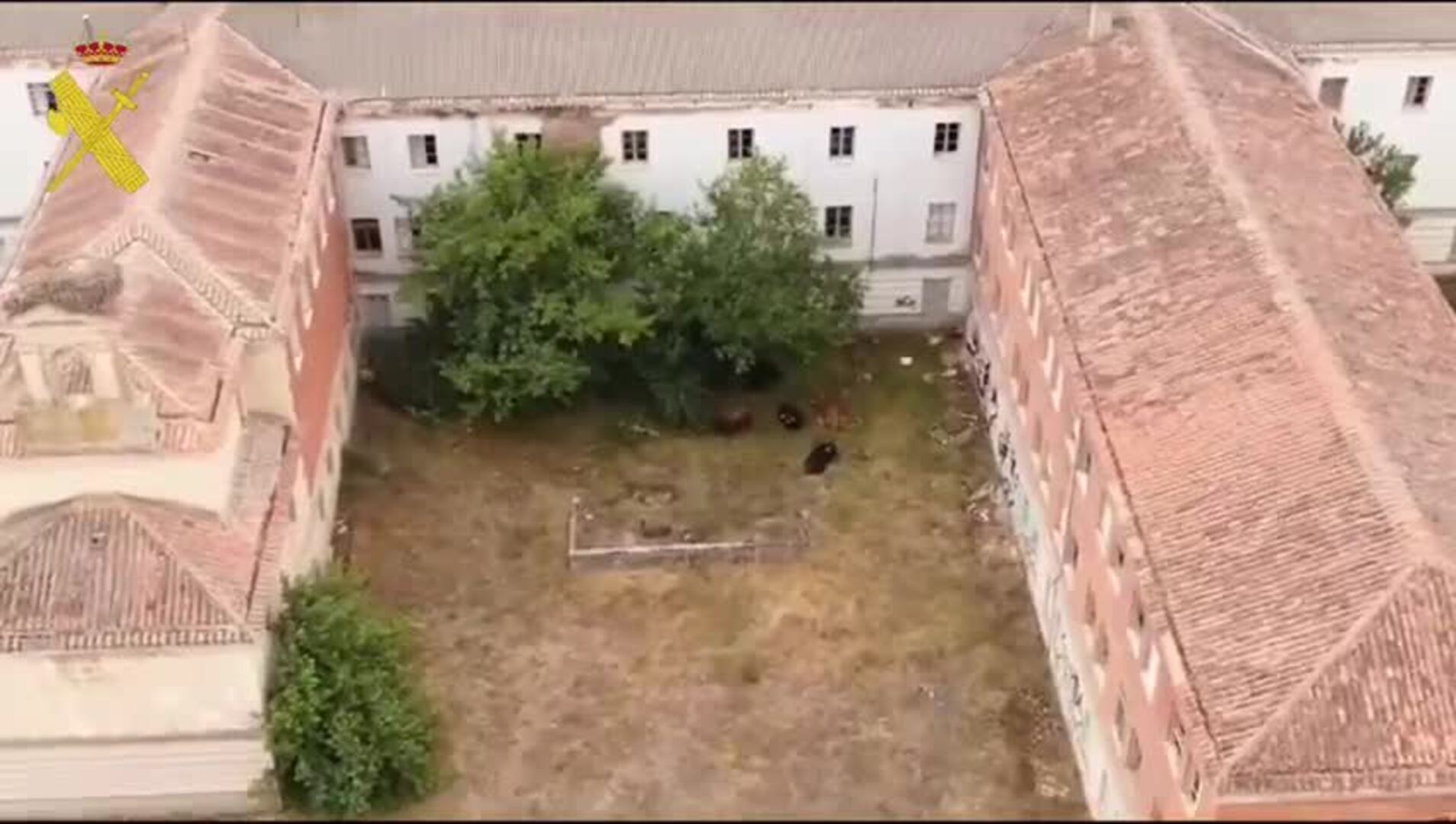 Localizados algunos de los toros que se escaparon del matadero de Laguna de Duero