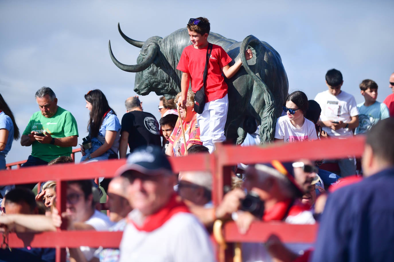 El Toro de la Vega siembra el pánico en Tordesillas