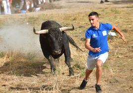 El Toro de la Vega persigue a uno de los asistentes antes de escaparse del recorrido