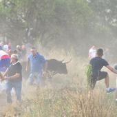 Un corneado y varios atendidos por contusiones en el Toro de la Vega