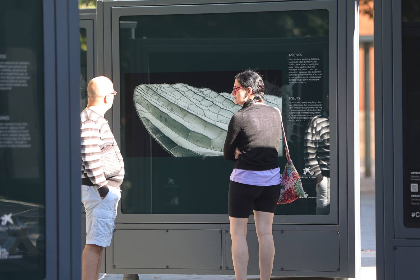 La exposición &#039;Nanocosmos&#039; llega al parque del Salón de Palencia