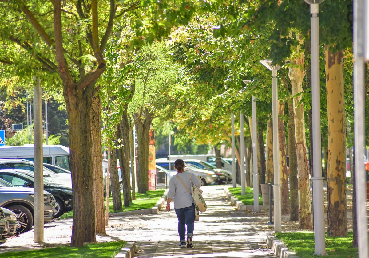 Una de las arterias principales en Huerta del Rey