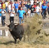 La familia del corneado en Tordesillas: «Parece que el peligro ya ha pasado»