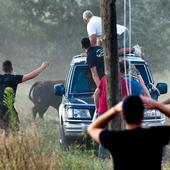 Más de veinte coches dañados tras la salida del Toro de la Vega del recorrido