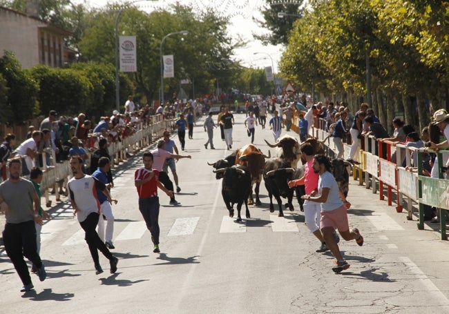 Momento de los encierros durante por las calles del municipio