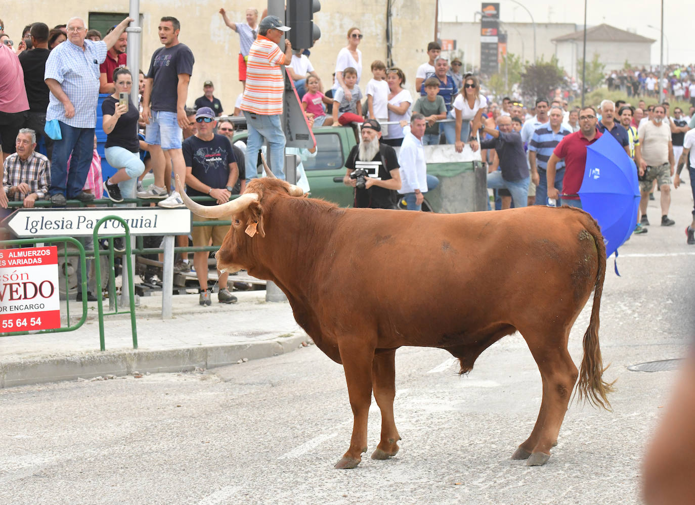 Las mejores imágenes del encierro de Arrabal de Portillo