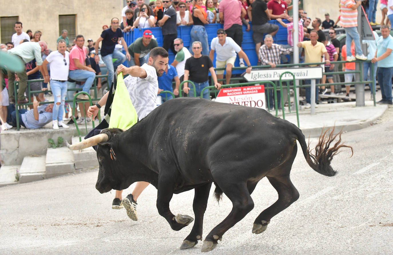 Las mejores imágenes del encierro de Arrabal de Portillo