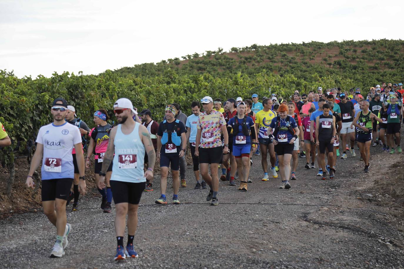 La quinta Ribera Run Experience de Peñafiel, en imágenes (1/2)