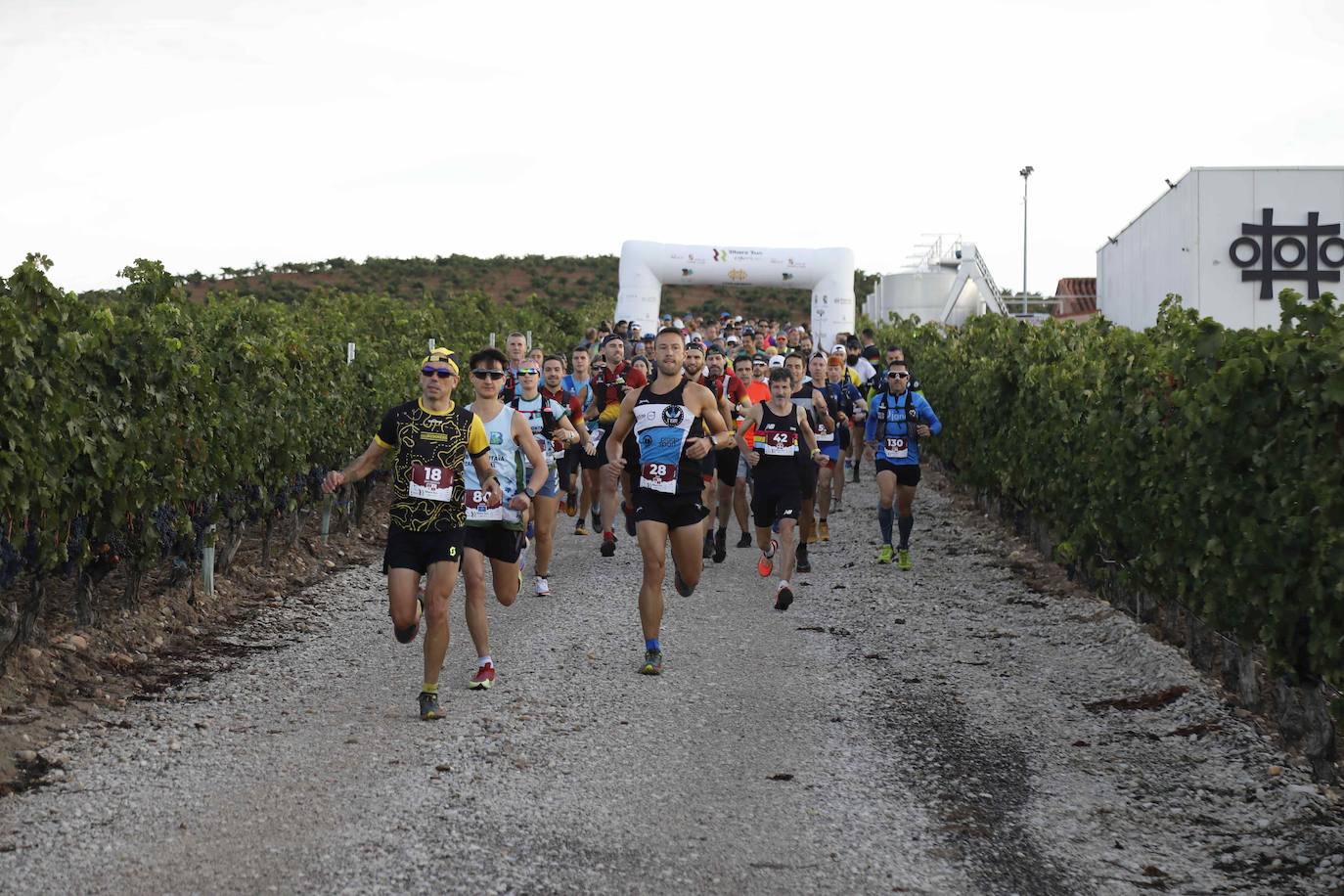 La quinta Ribera Run Experience de Peñafiel, en imágenes (1/2)