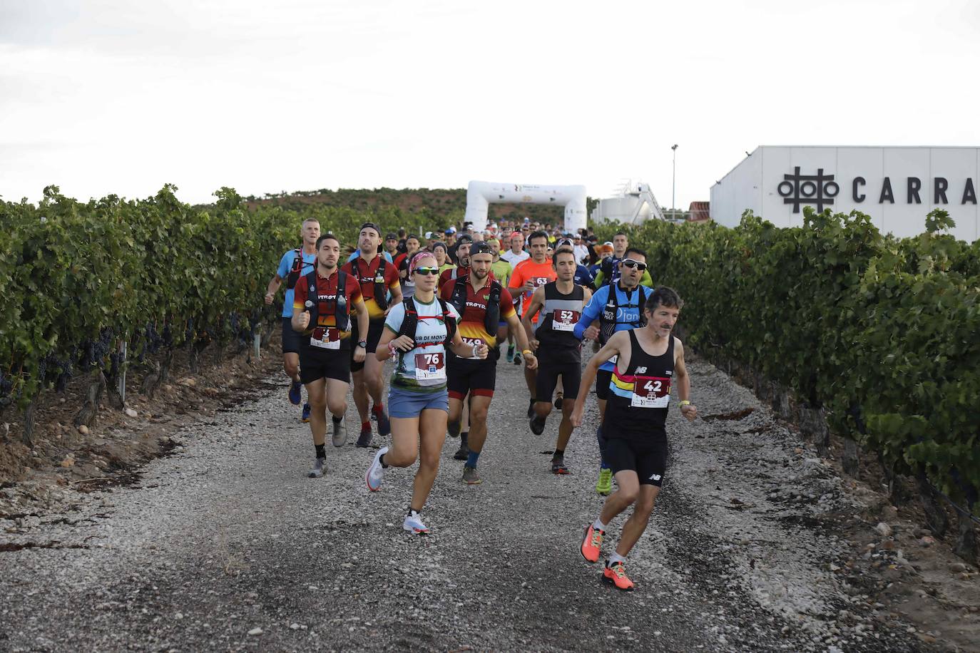 La quinta Ribera Run Experience de Peñafiel, en imágenes (1/2)