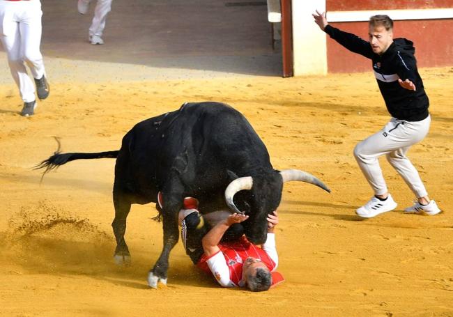 Cogida de Miguelín en el tercer encierro de Cuéllar.