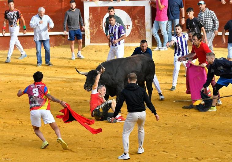 Miguelín, agarrado al cuerno del toro para no ser corneado.