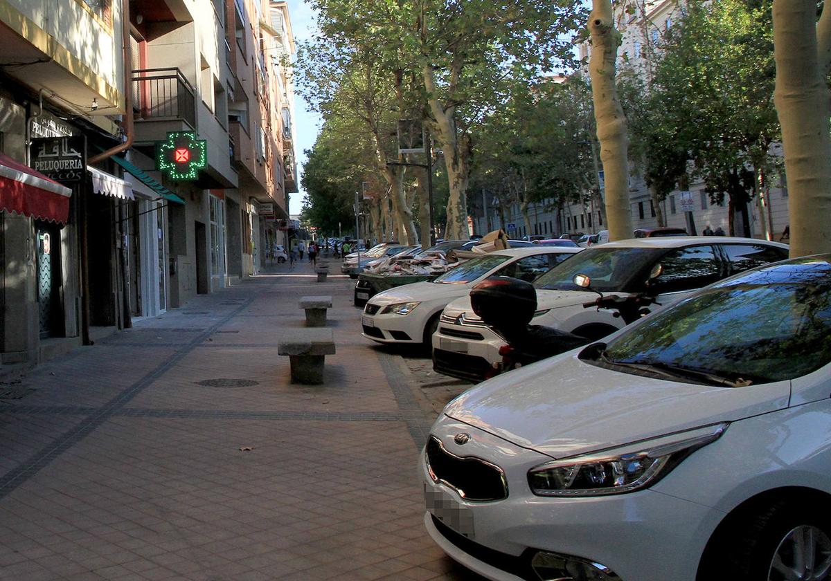 Avenida de la Constitución de Segovia, donde estaba prevista la zona ORA violeta.