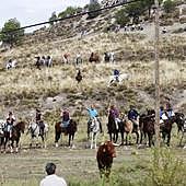 El encierro de las fiestas de Portillo de este sábado, en imágenes