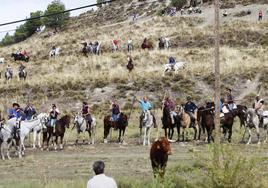 El encierro de las fiestas de Portillo de este sábado, en imágenes