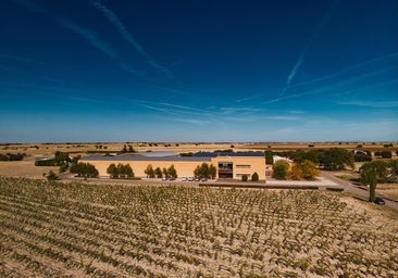 Valtravieso comienza la vendimia y prevé una gran añada