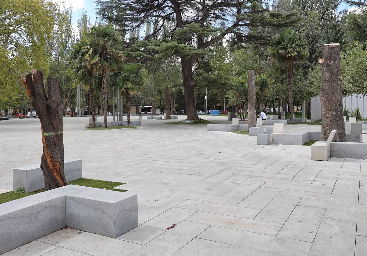 Arboles que se han cortado en los Jardinillos por encontrarse en mal estado.