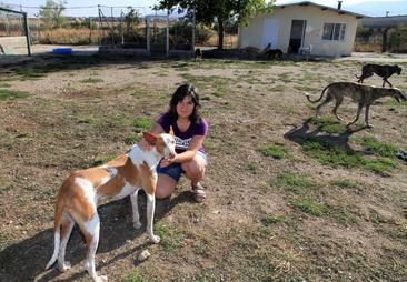 Unas 15 llamadas a la semana para deshacerse de un animal