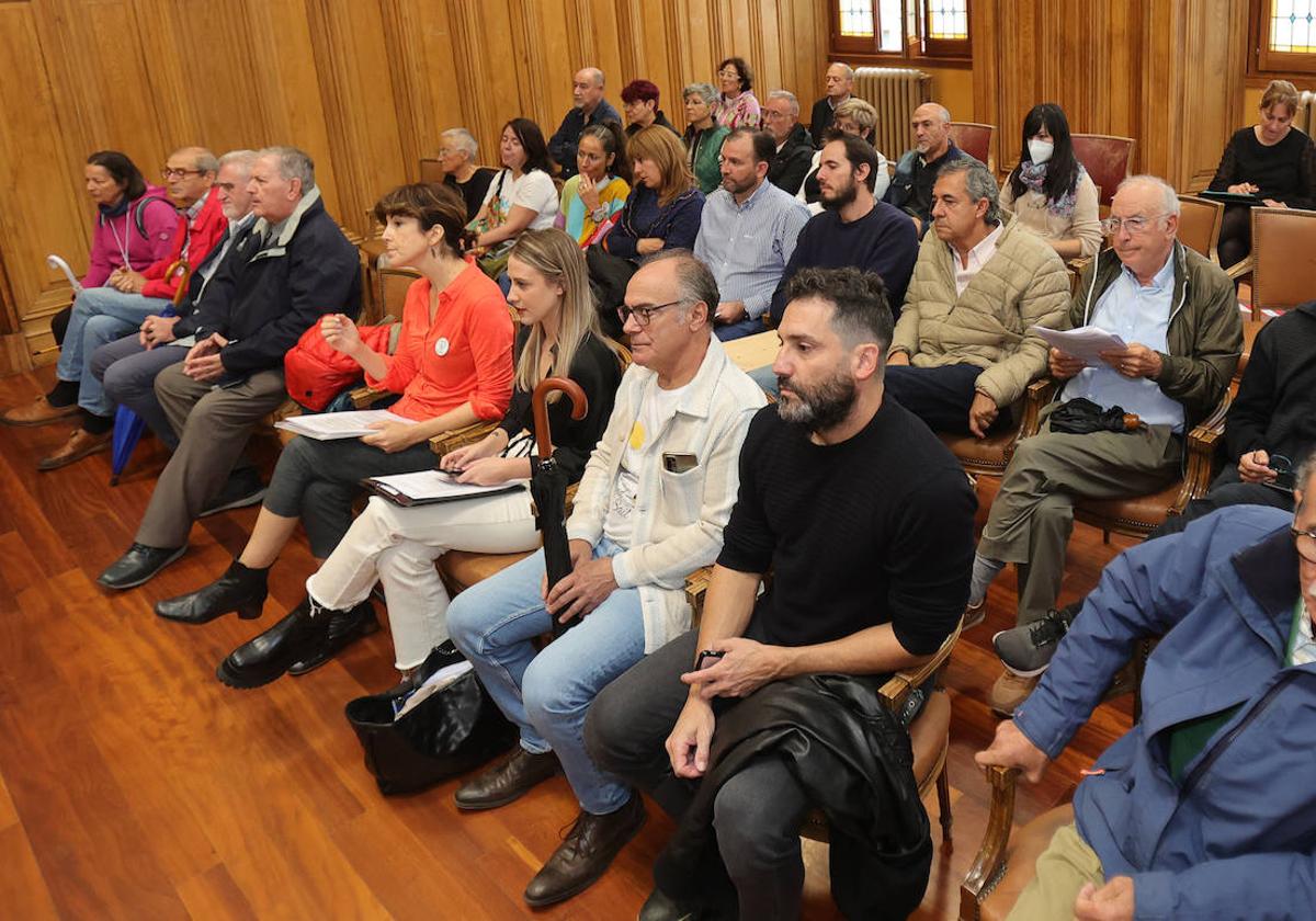 Asistentes al pleno, entre los que figuraban los integrantes de Salvemos la Dársena.