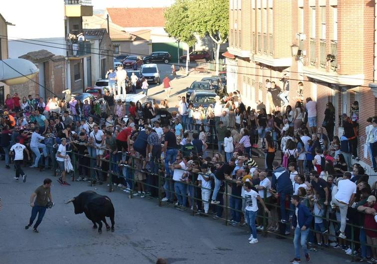 El Toro del Clarete, en un momento del recorrido.