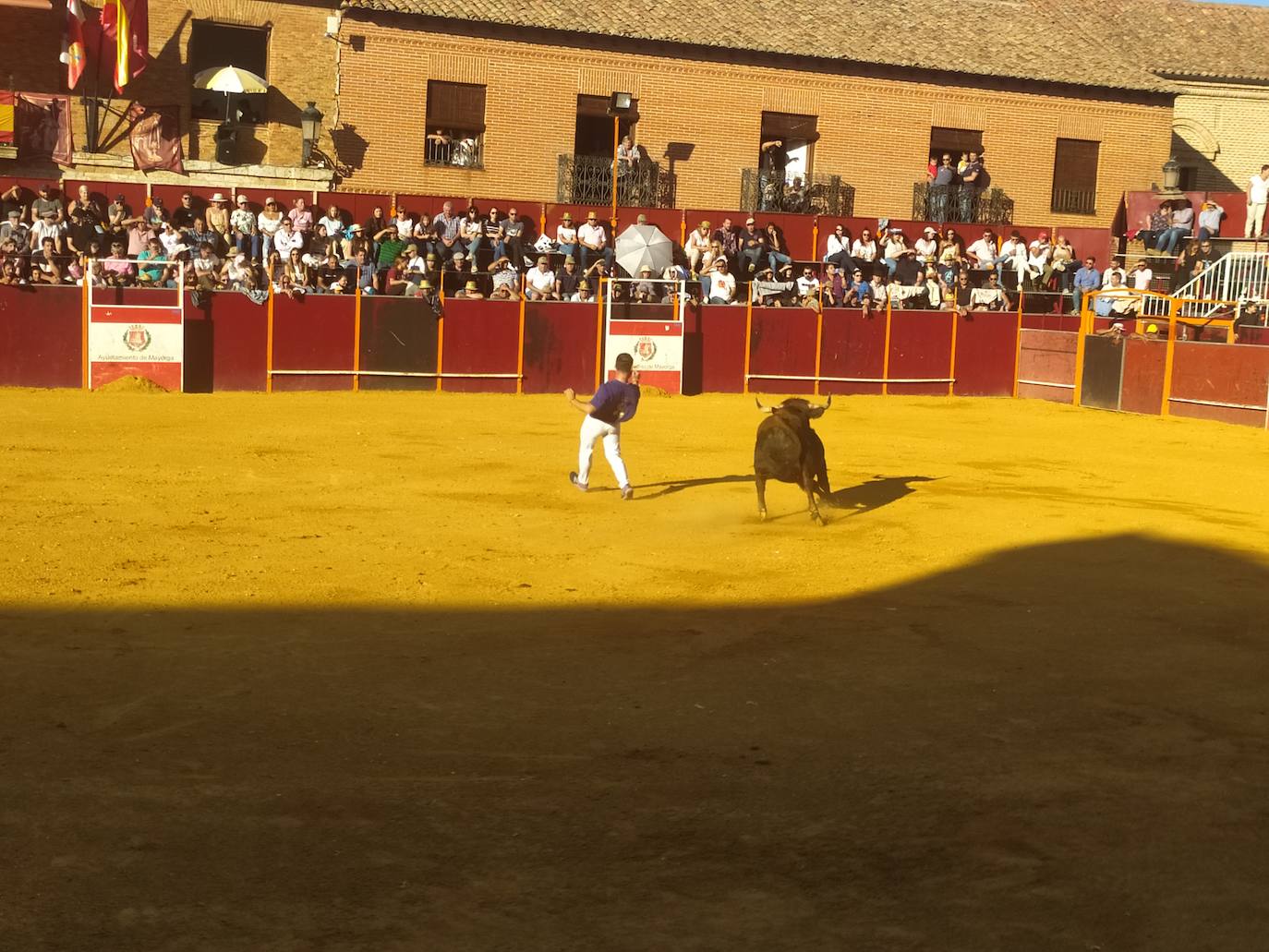 El Concurso de Cortes de Mayorga, en imágenes (III)