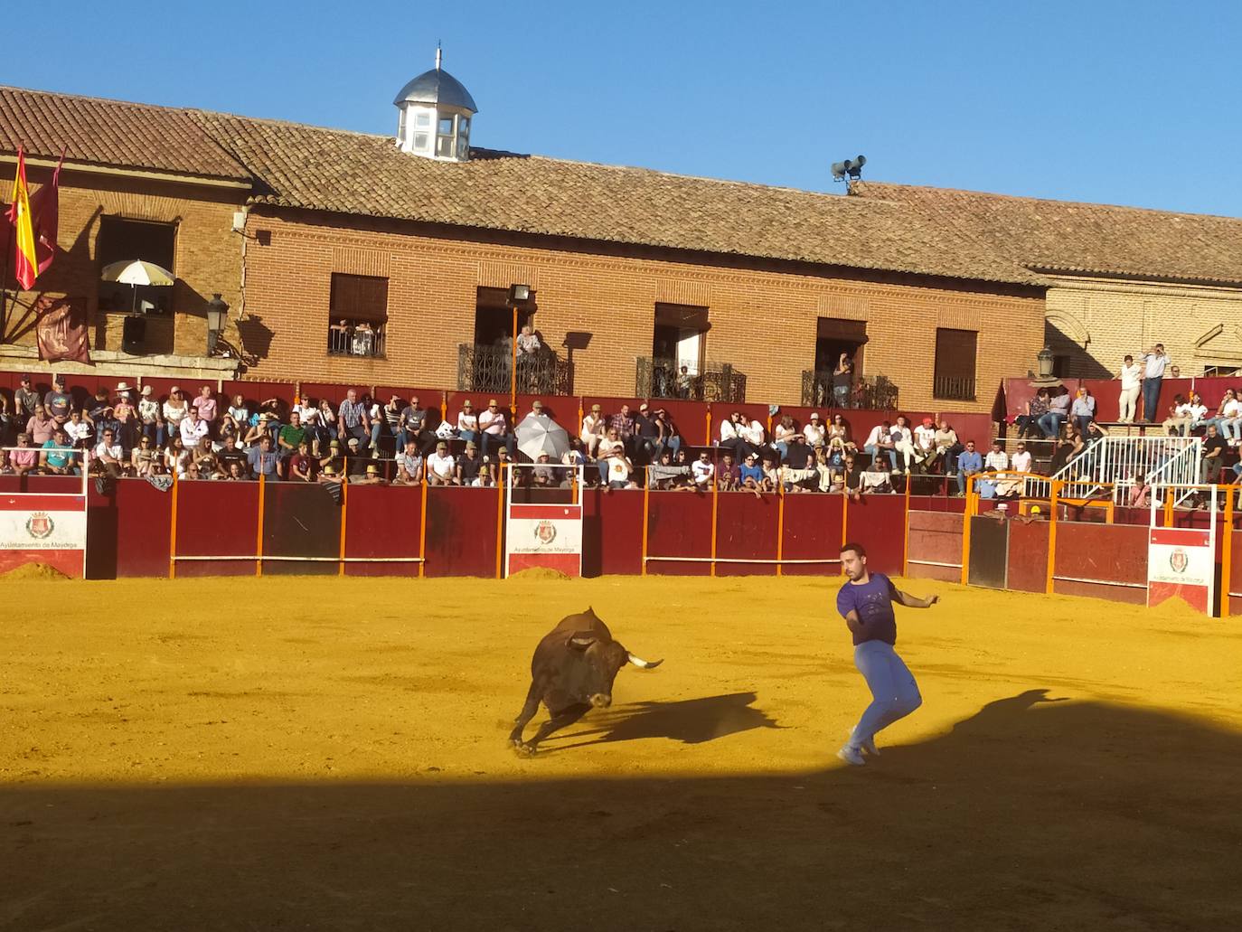 El Concurso de Cortes de Mayorga, en imágenes (III)