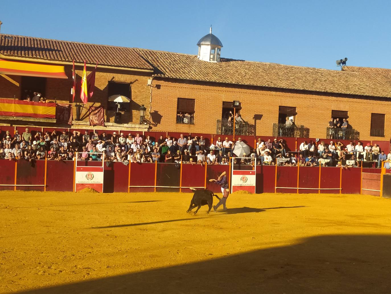 El Concurso de Cortes de Mayorga, en imágenes (III)