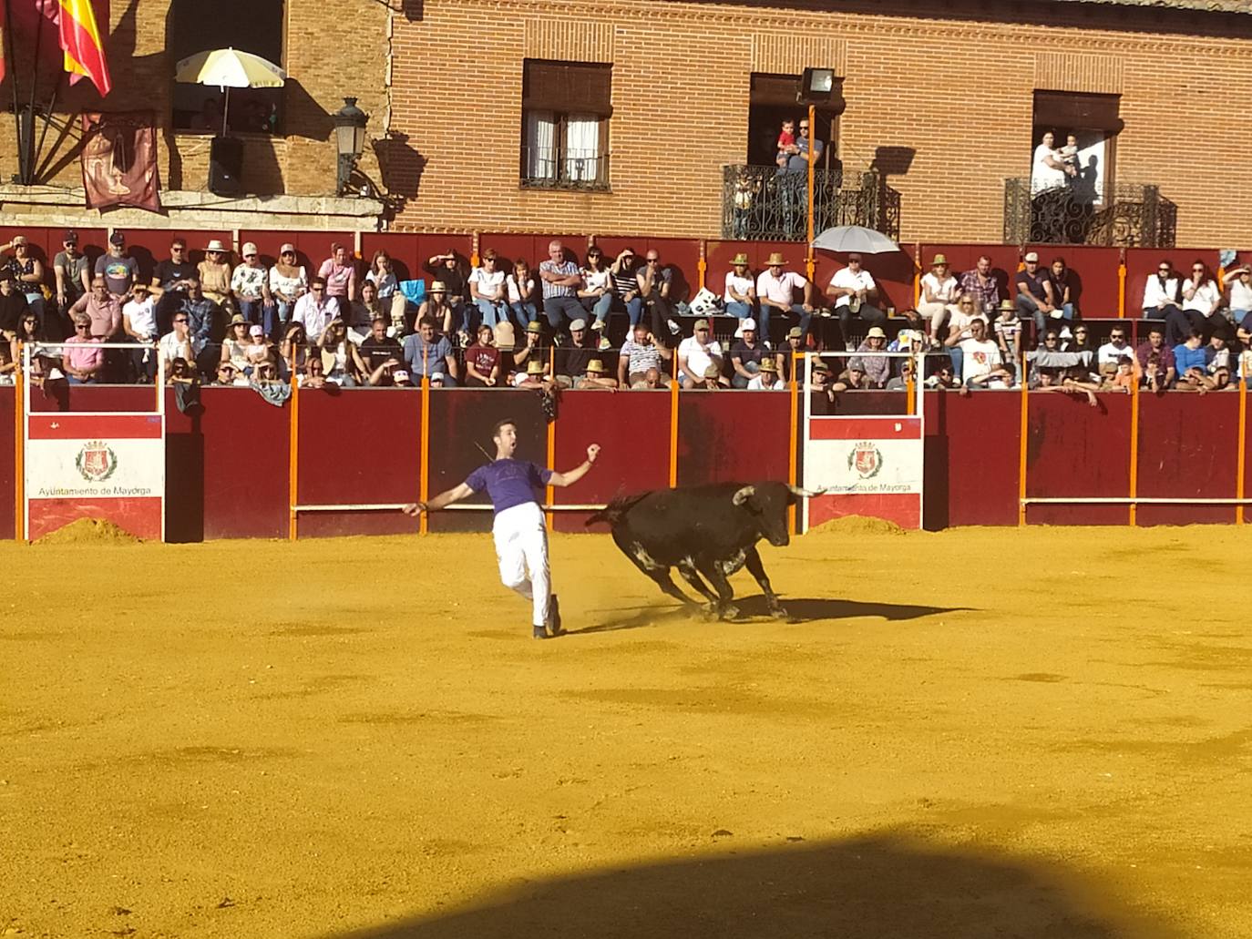 El Concurso de Cortes de Mayorga, en imágenes (I)