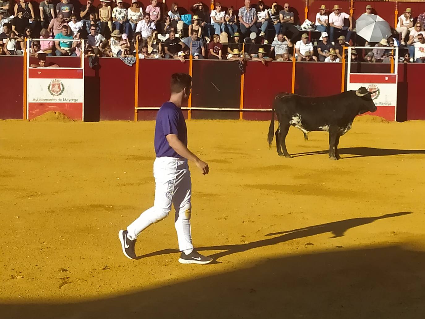 El Concurso de Cortes de Mayorga, en imágenes (I)