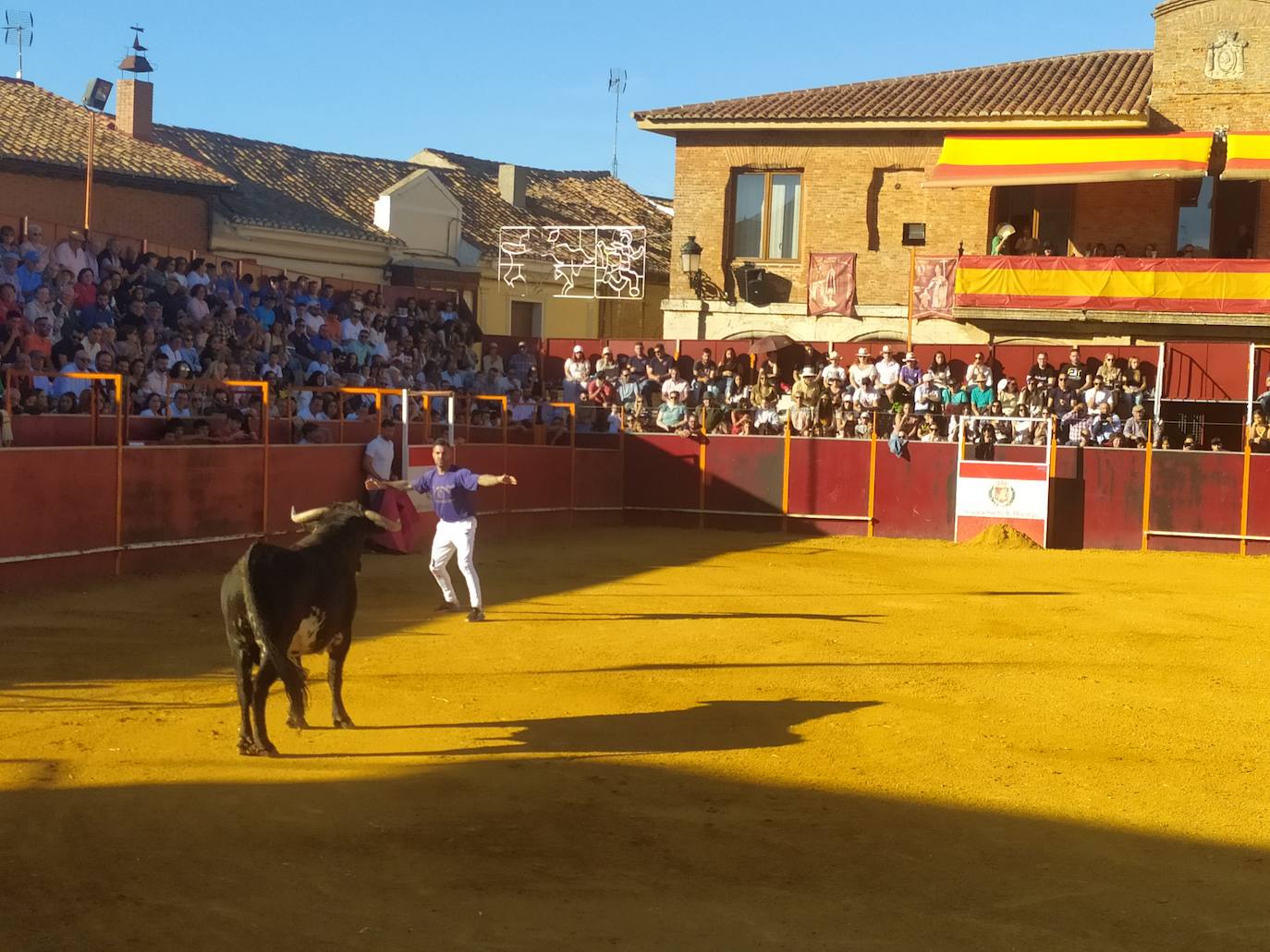 El Concurso de Cortes de Mayorga, en imágenes (I)