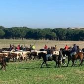 Mojados calienta motores de cara a sus fiestas patronales