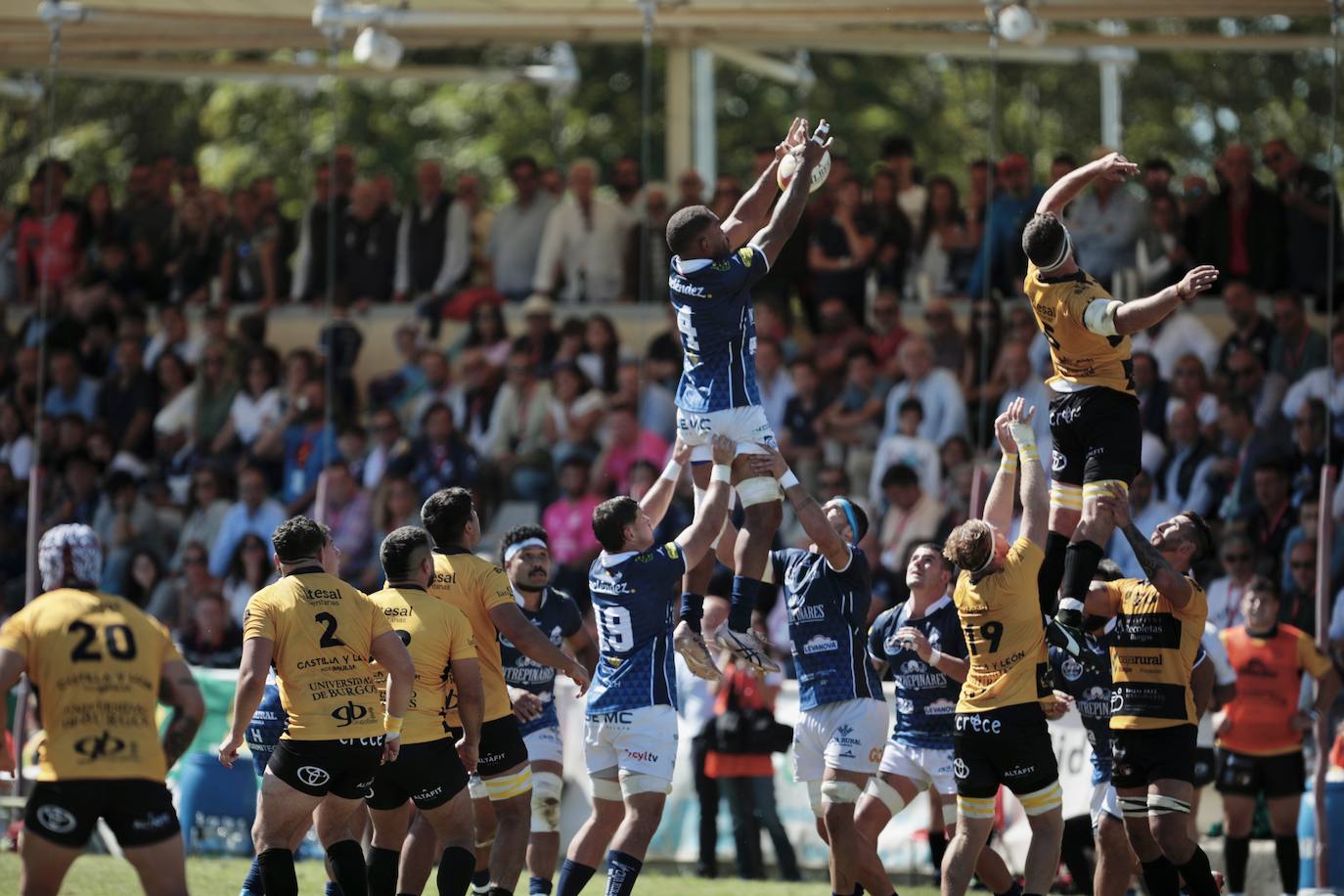 La final de la Supercopa de Rugby, en imágenes