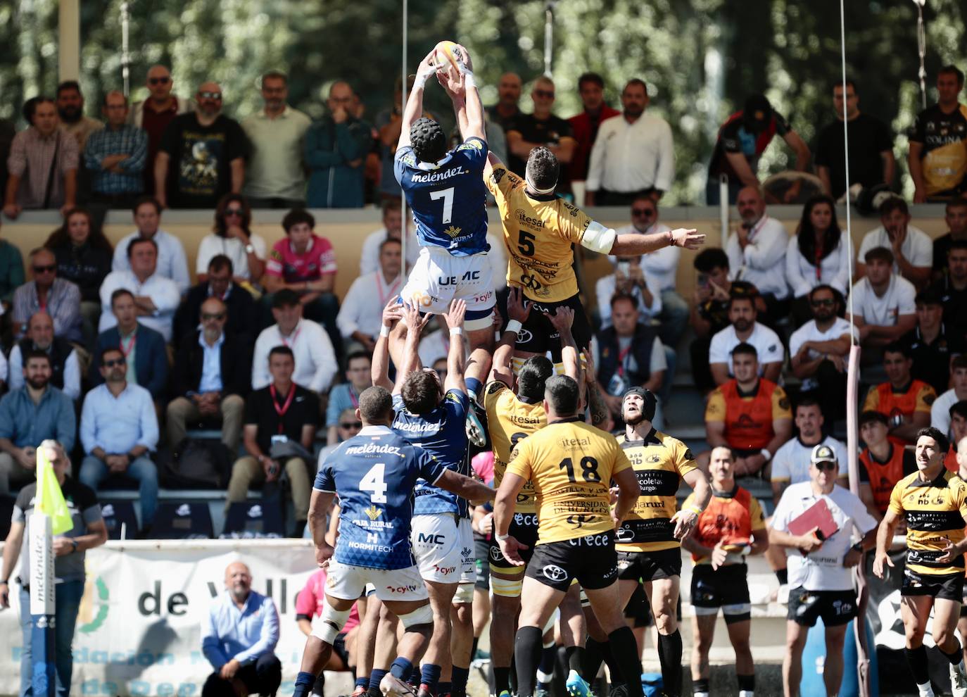 La final de la Supercopa de Rugby, en imágenes