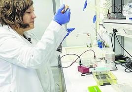 Investigación en un laboratorio de la Universidad de Valladolid.