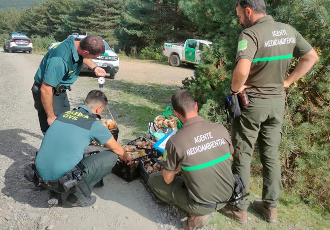 Agentes pesan las cajas de boletus.