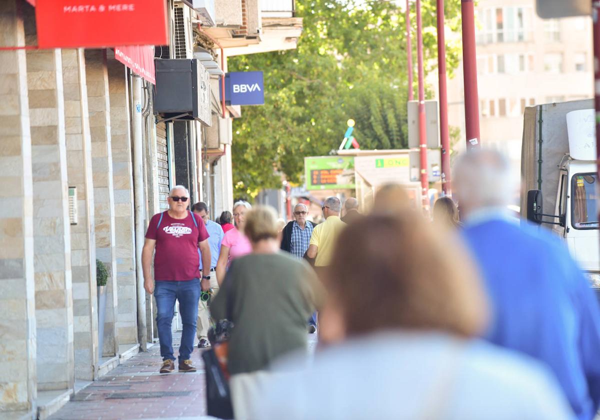 Paseantes en la Avenida de Segovia.