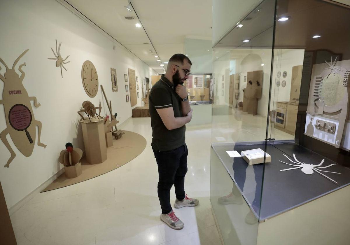 Un visitante contempla una vitrina de la muestra.