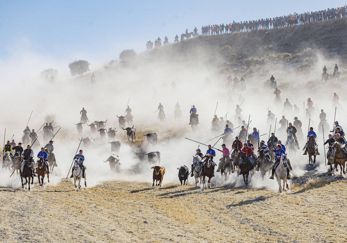 Encierro en Cuéllar, el pasado agosto.