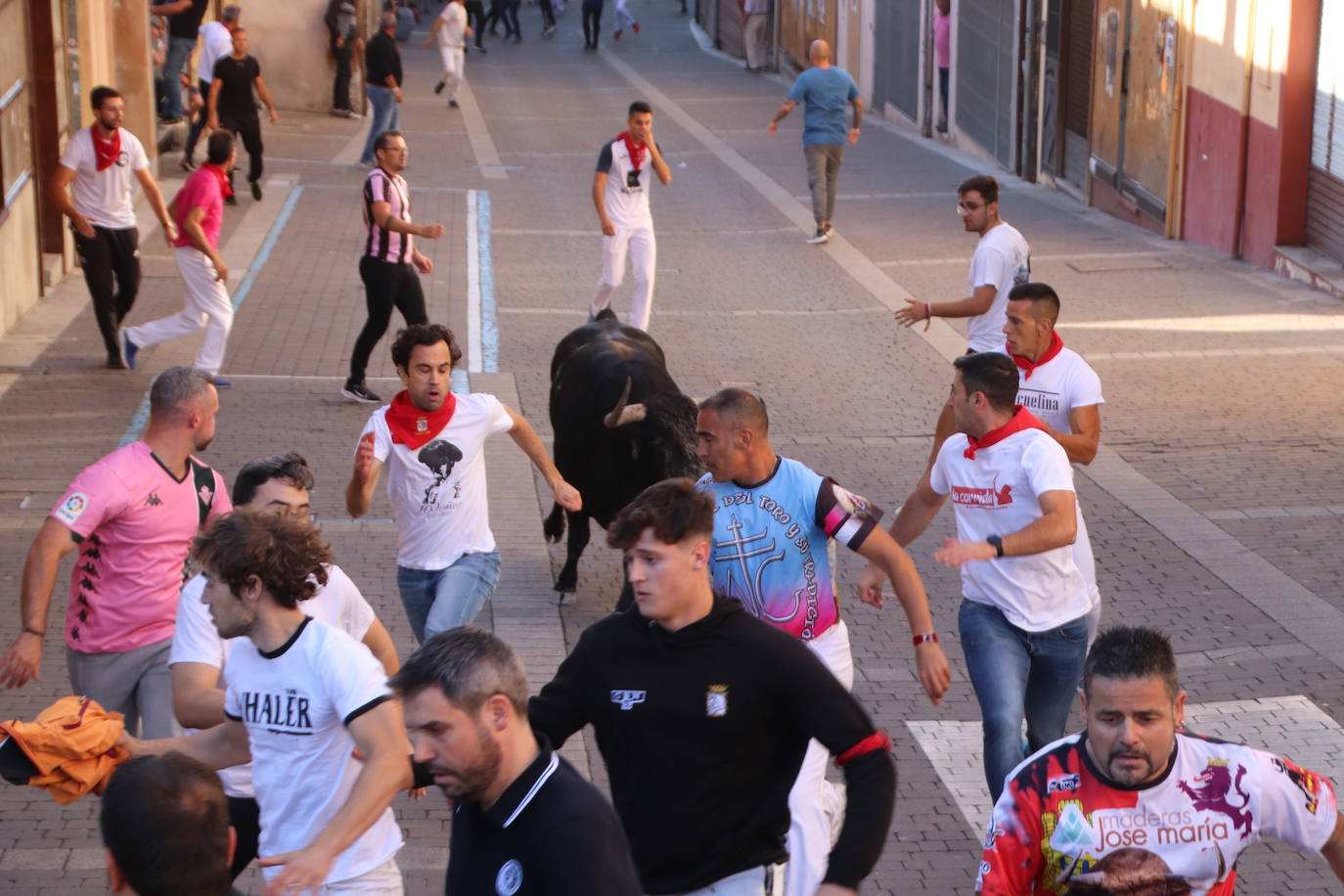 El encierro de San Miguel en Cuéllar, en imágenes