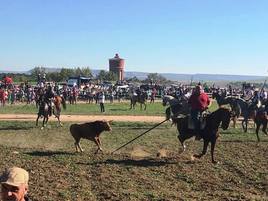 Encierro por el campo celebrado este domingo por la mañana en Mojados.