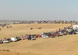 Decenas de vehículos siguen de cerca el encierro de campo celebrado este domingo en Villabrágima.