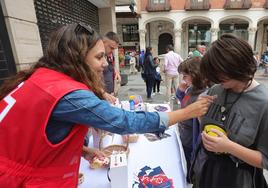 Día de la Banderita, este pasado 2 de septiembre en Palencia.