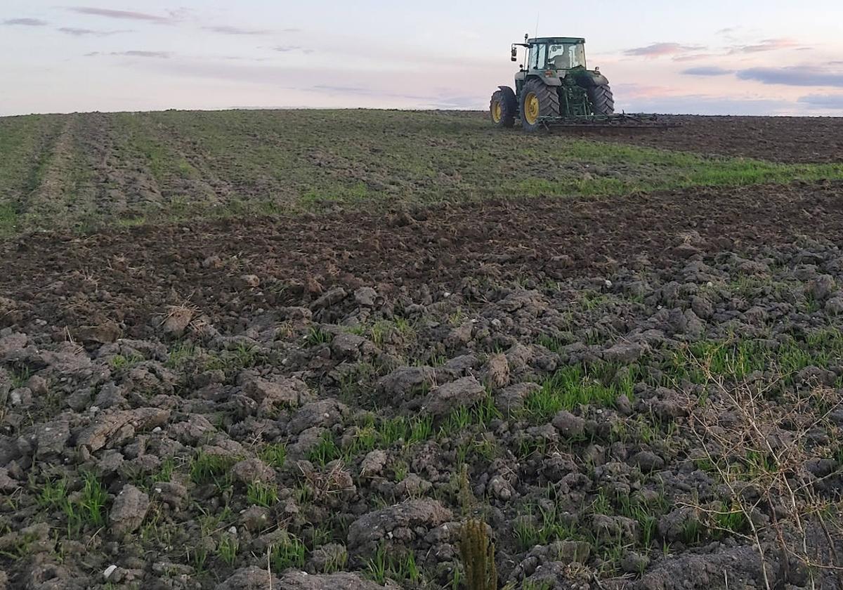 Un vehículo agrícola realiza trabajos en una tierra de cultivo de Segovia.